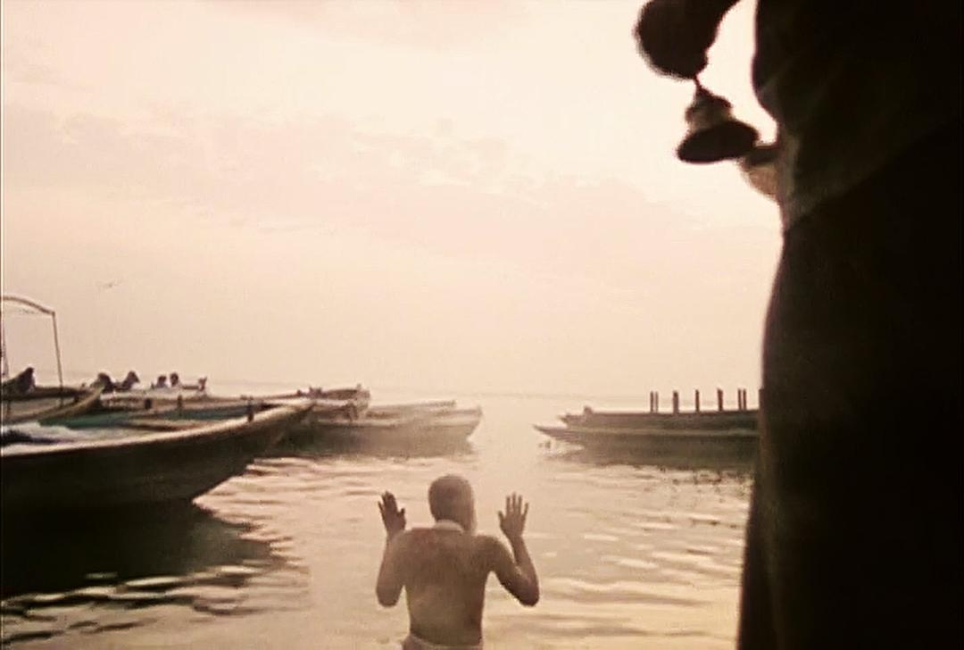 极乐森林 Forest of Bliss