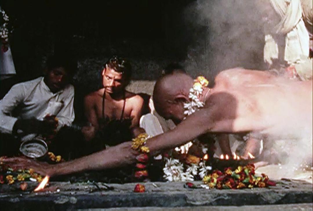 极乐森林 Forest of Bliss