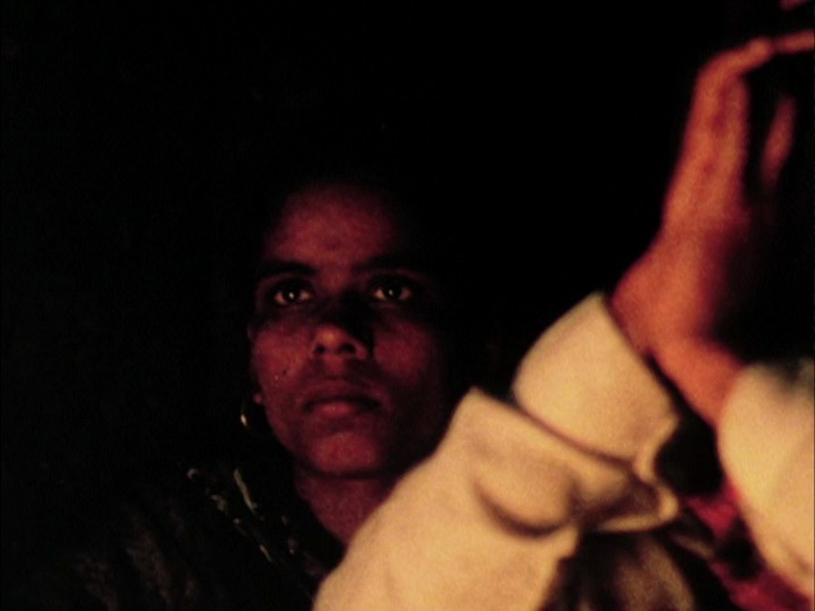 极乐森林 Forest of Bliss