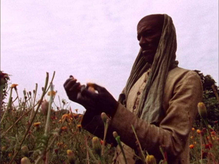 极乐森林 Forest of Bliss