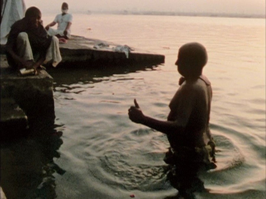 极乐森林 Forest of Bliss