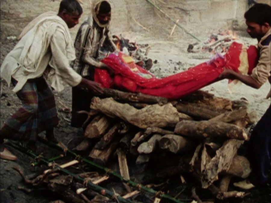 极乐森林 Forest of Bliss