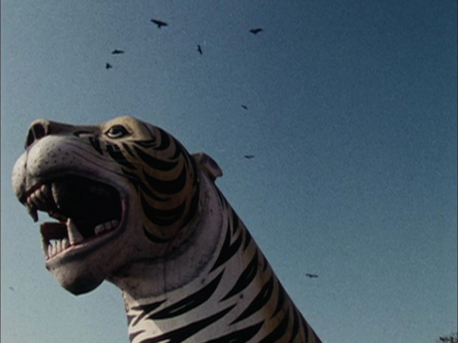 极乐森林 Forest of Bliss