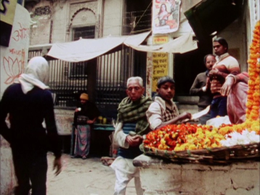 极乐森林 Forest of Bliss