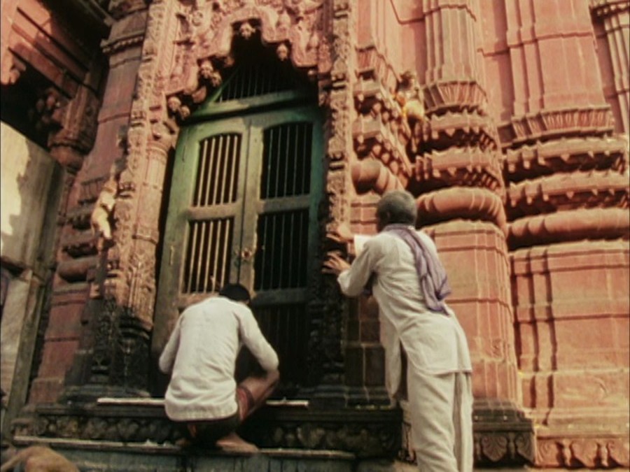 极乐森林 Forest of Bliss