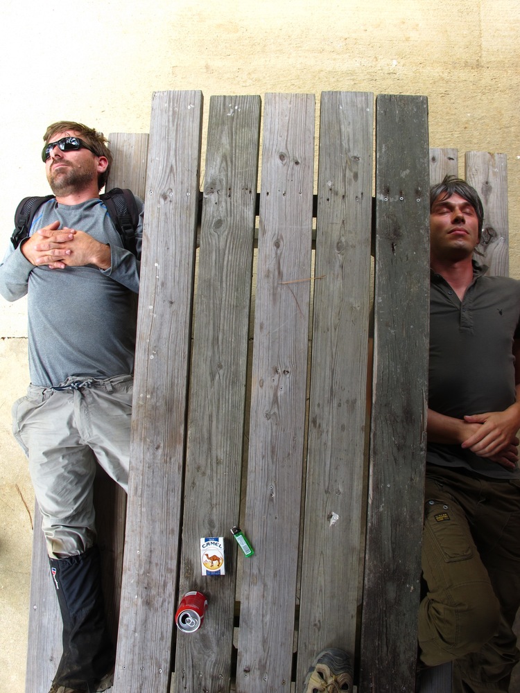 生命的奇迹 Wonders of Life