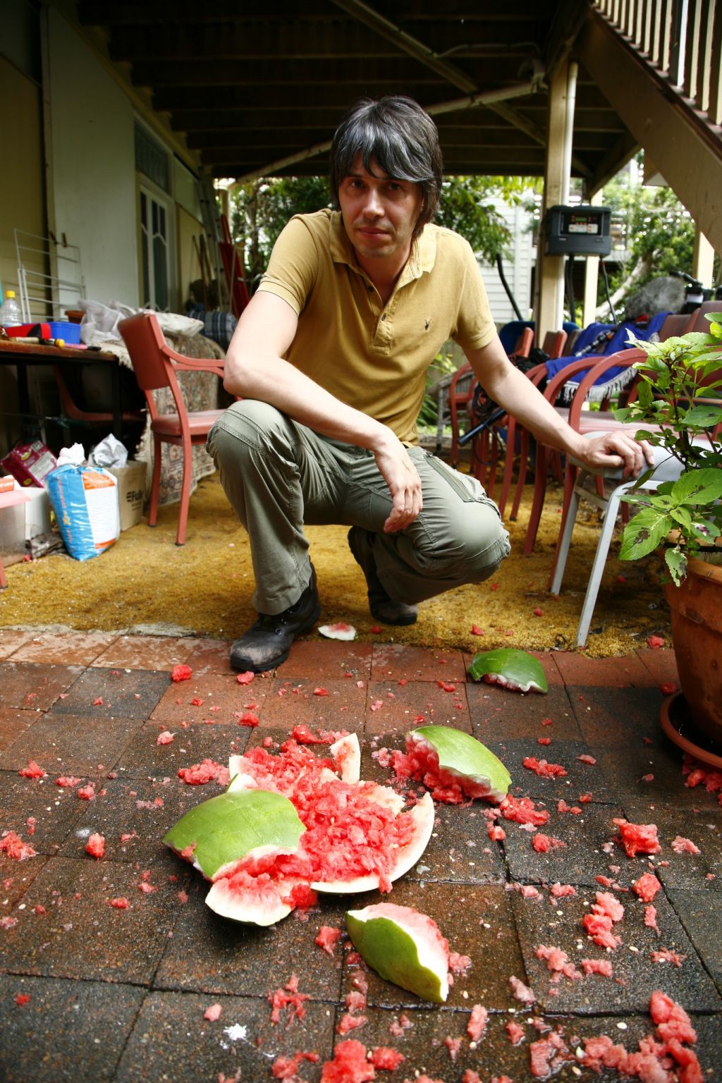 生命的奇迹 Wonders of Life