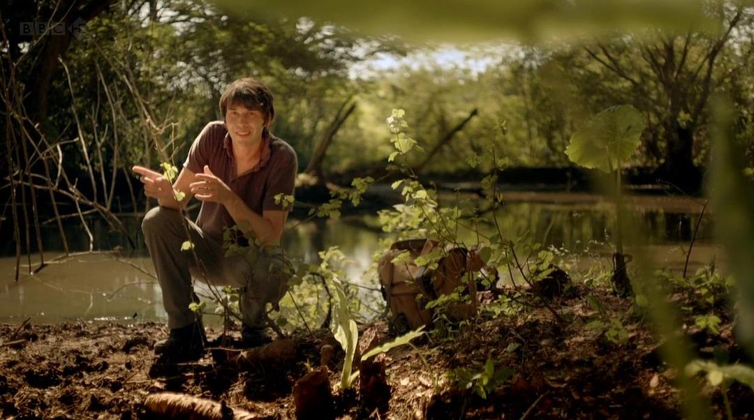 生命的奇迹 Wonders of Life