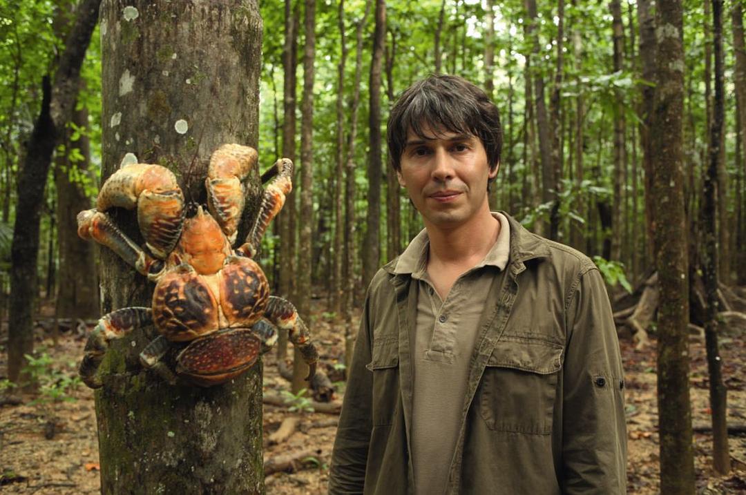 生命的奇迹 Wonders of Life