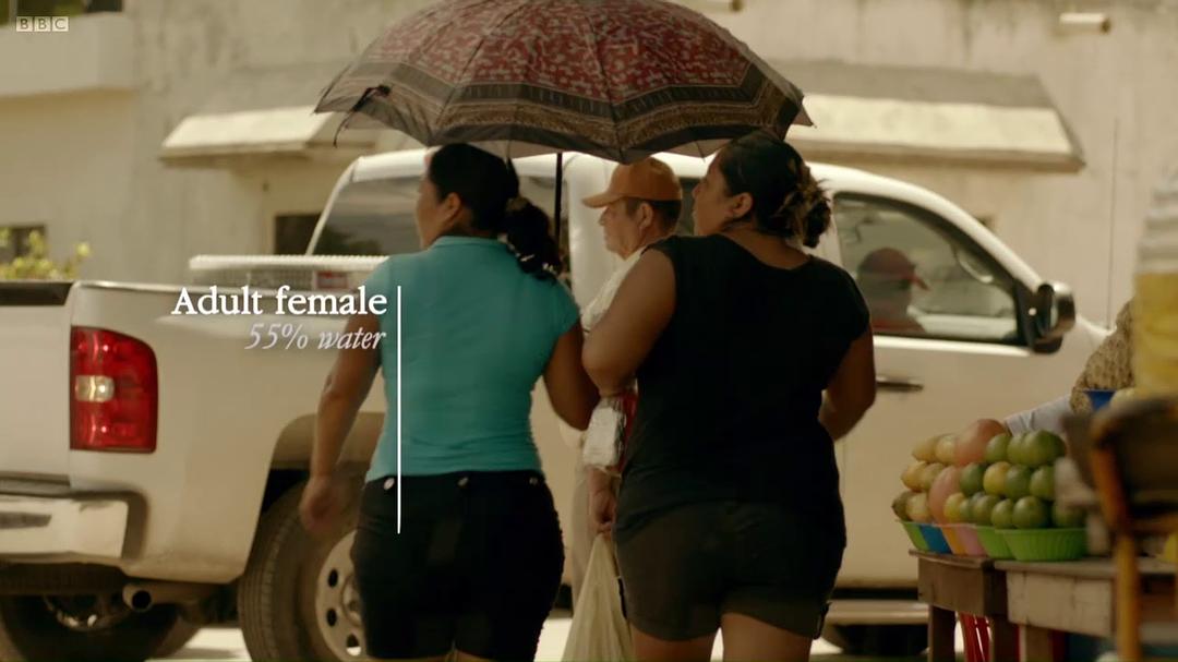 生命的奇迹 Wonders of Life