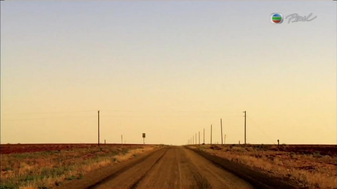 蚂蚁星球 Planet Ant: Life Inside the Colony