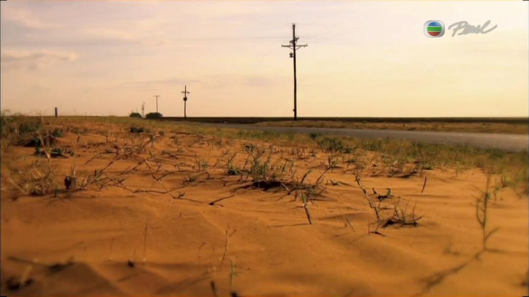 蚂蚁星球 Planet Ant: Life Inside the Colony