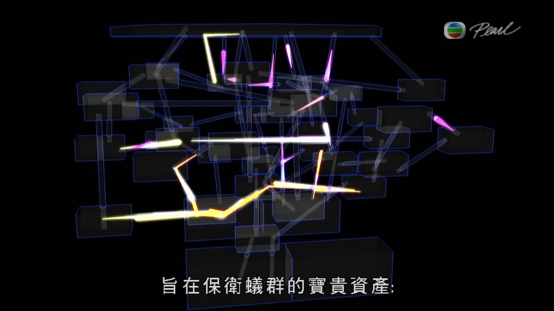 蚂蚁星球 Planet Ant: Life Inside the Colony