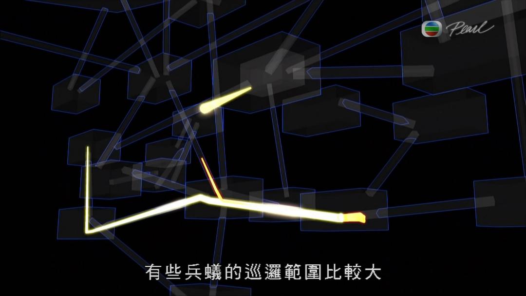 蚂蚁星球 Planet Ant: Life Inside the Colony