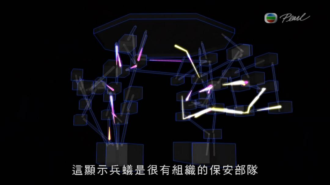 蚂蚁星球 Planet Ant: Life Inside the Colony