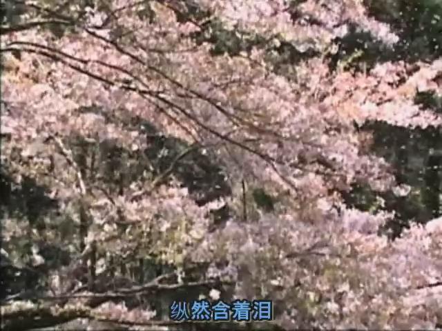 含泪活着 泣きながら生きて