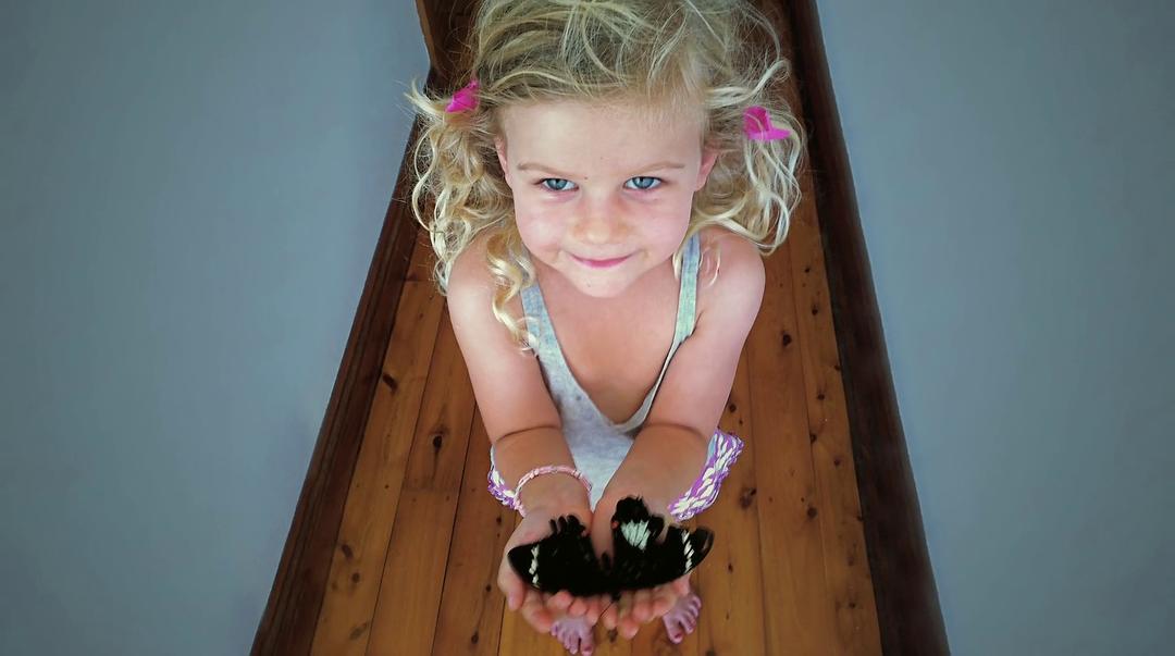 活在当下：安迪·惠特菲尔德的故事 Be Here Now