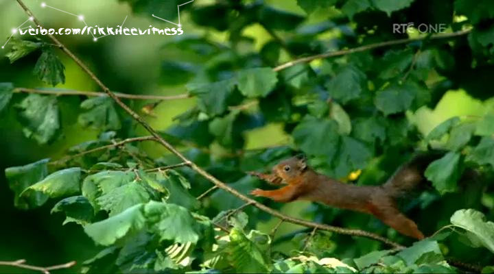 香农秘境 The Secret Life of the Shannon