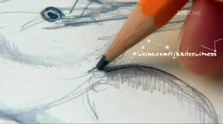 香农秘境 The Secret Life of the Shannon