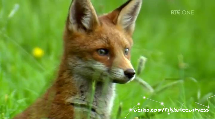 香农秘境 The Secret Life of the Shannon