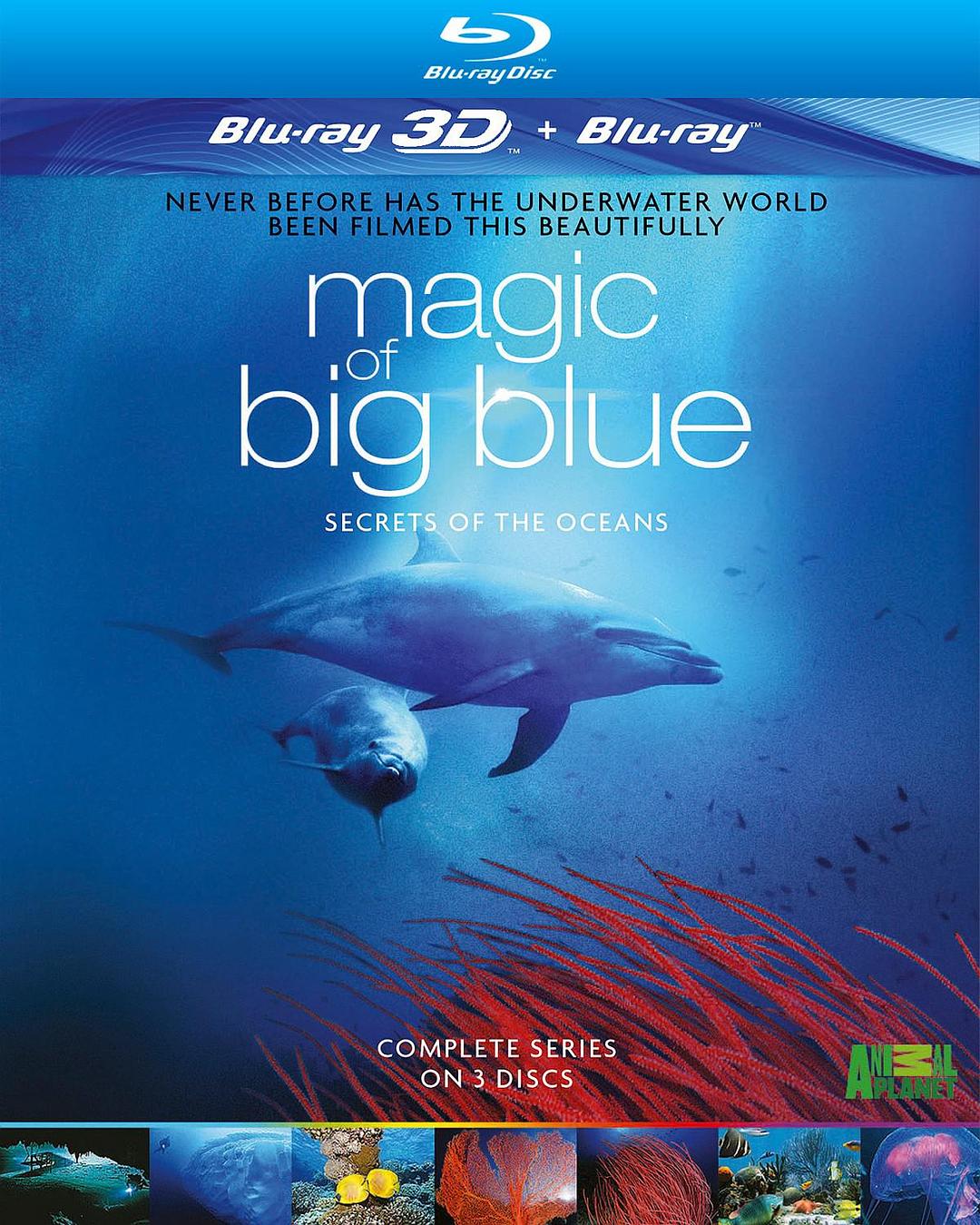 奇幻蔚蓝海 Magic of the Big Blue