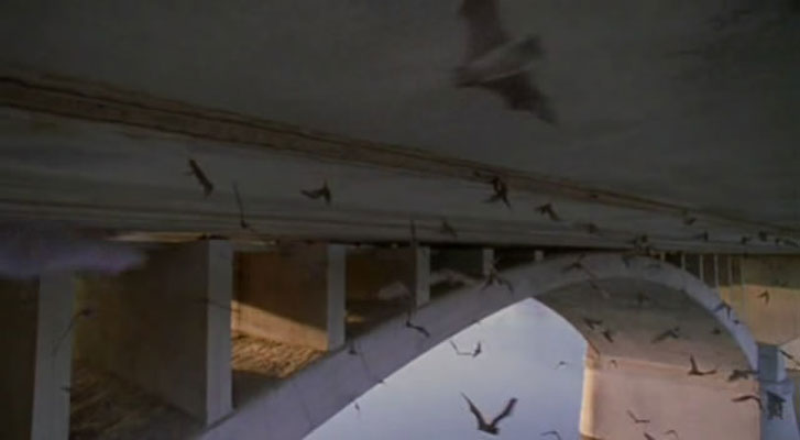 野性新世界 Wild New World