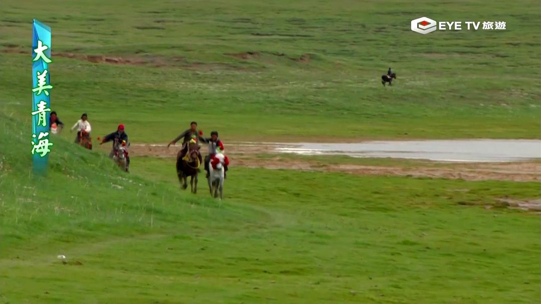 大美青海