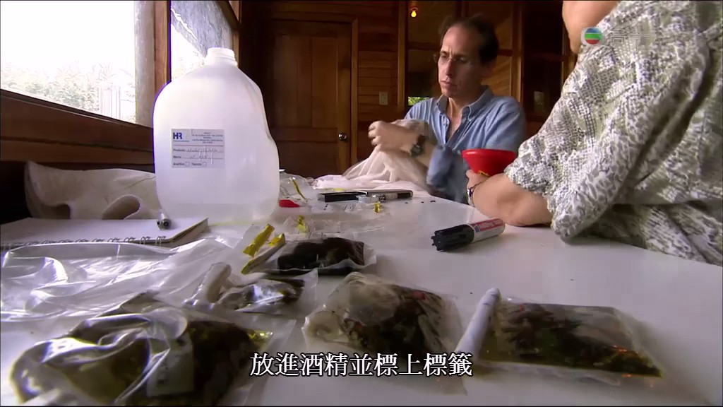 亚马逊异形 Aliens of the Amazon