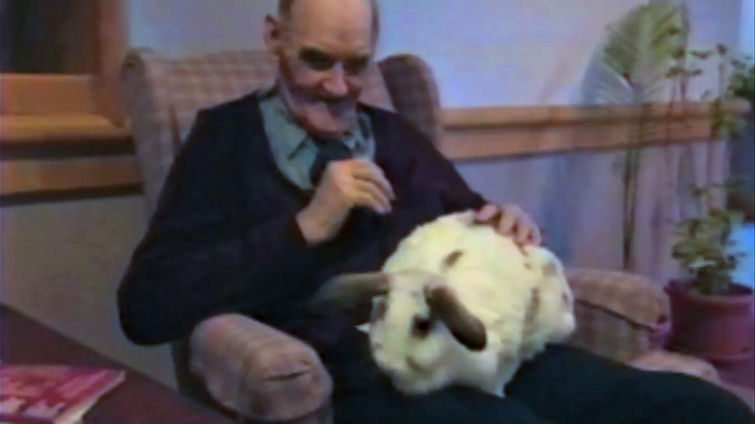 音乐之生 Alive Inside: A Story of Music &amp; Memory