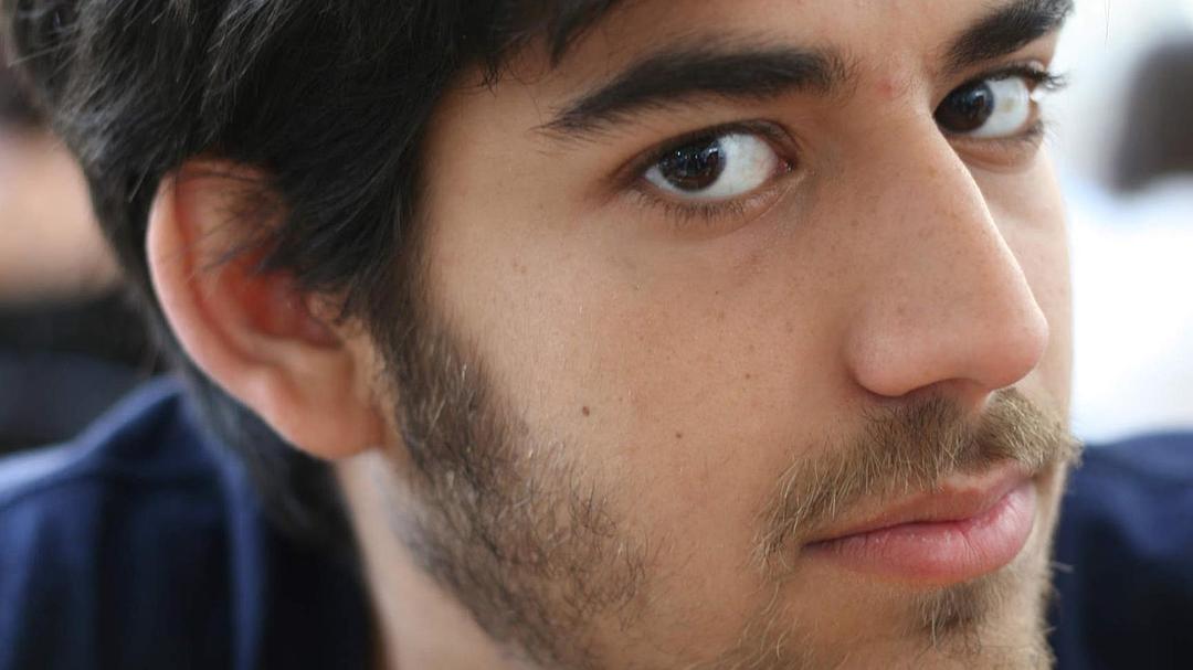 互联网之子 The Internet&#x27;s Own Boy: The Story of Aaron Swartz