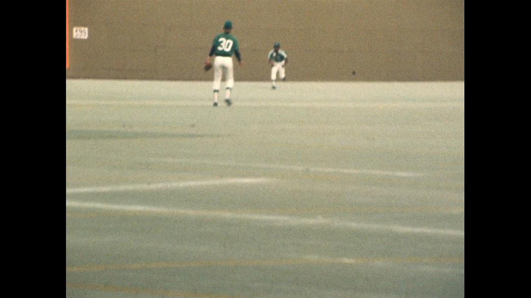 被殴打的棒球杂种 The Battered Bastards of Baseball