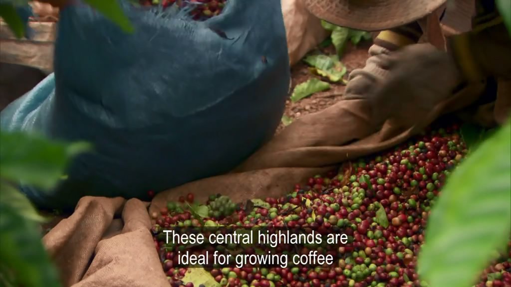 和西蒙·里夫一起寻迹咖啡 The Coffee Trail with Simon Reeve