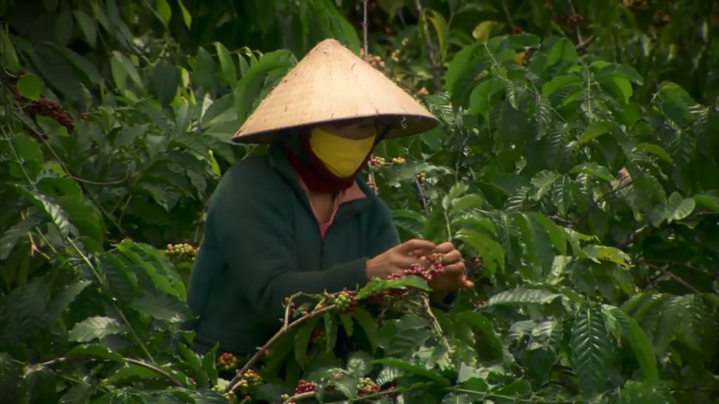 和西蒙·里夫一起寻迹咖啡 The Coffee Trail with Simon Reeve