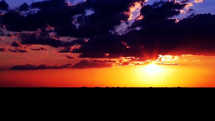 杰克卡特的生命