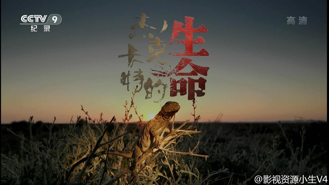 杰克卡特的生命