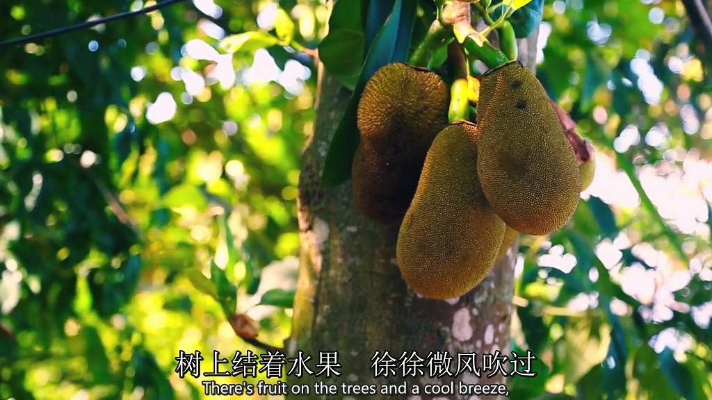 欢迎来到里约热内卢 Welcome to Rio