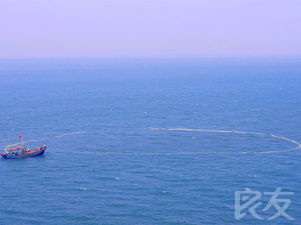 超鱼 슈퍼피쉬 &#8211; 끝없는 여정