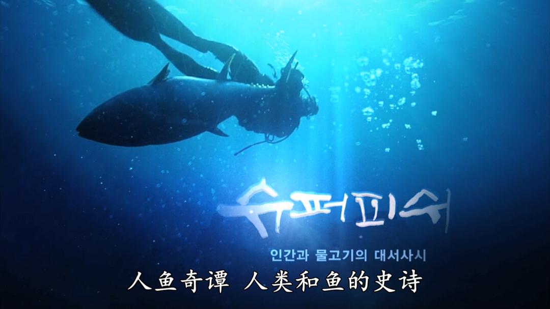 超鱼 슈퍼피쉬 &#8211; 끝없는 여정