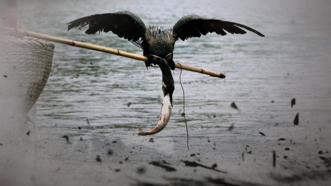 超鱼 슈퍼피쉬 &#8211; 끝없는 여정