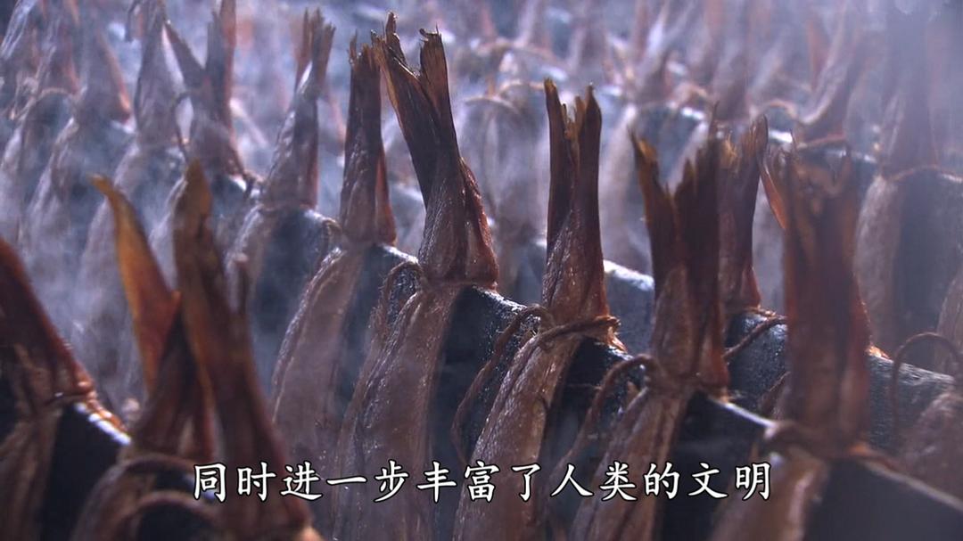 超鱼 슈퍼피쉬 &#8211; 끝없는 여정