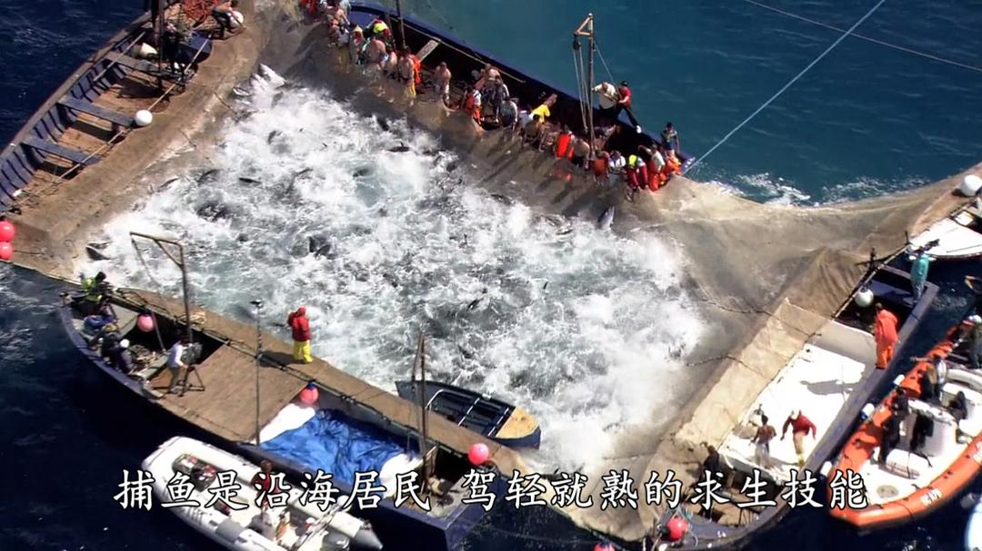 超鱼 슈퍼피쉬 &#8211; 끝없는 여정