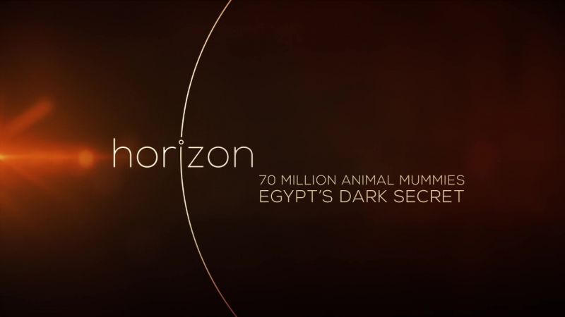 BBC地平线.七千万动物木乃伊.古埃及的暗黑秘密 Horizon: 70 Million Animal Mummies – Egypt’s Dark Secret