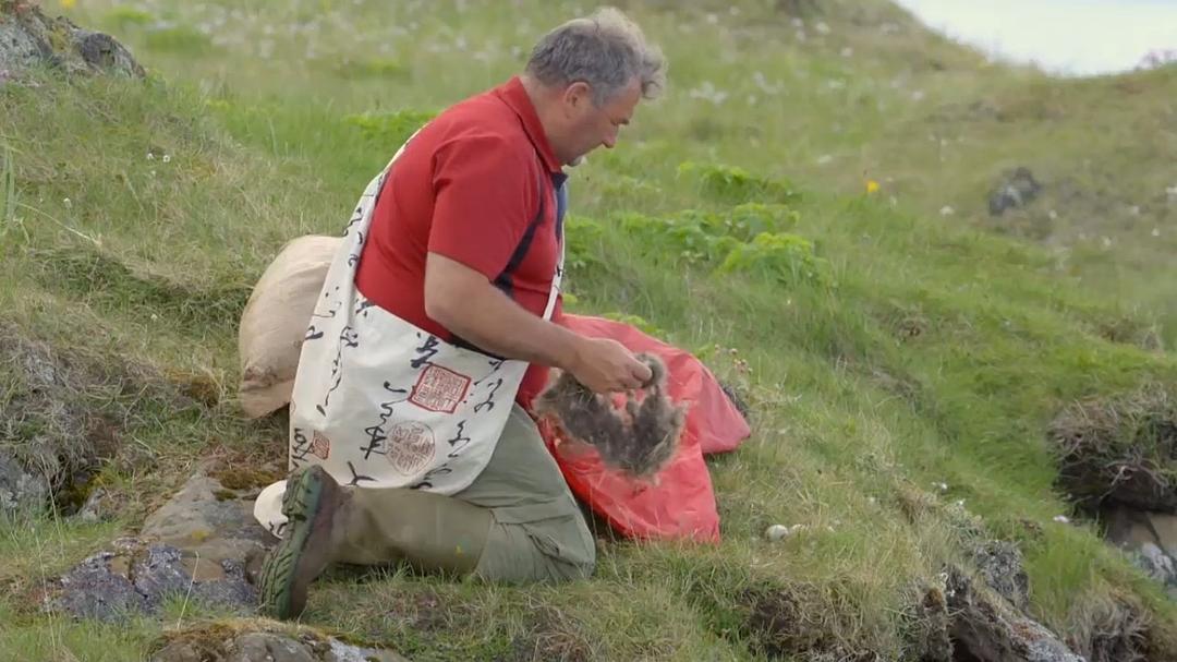 自然世界：冰岛：冰与火的国度 Natural World: Iceland: Land of Ice and Fire