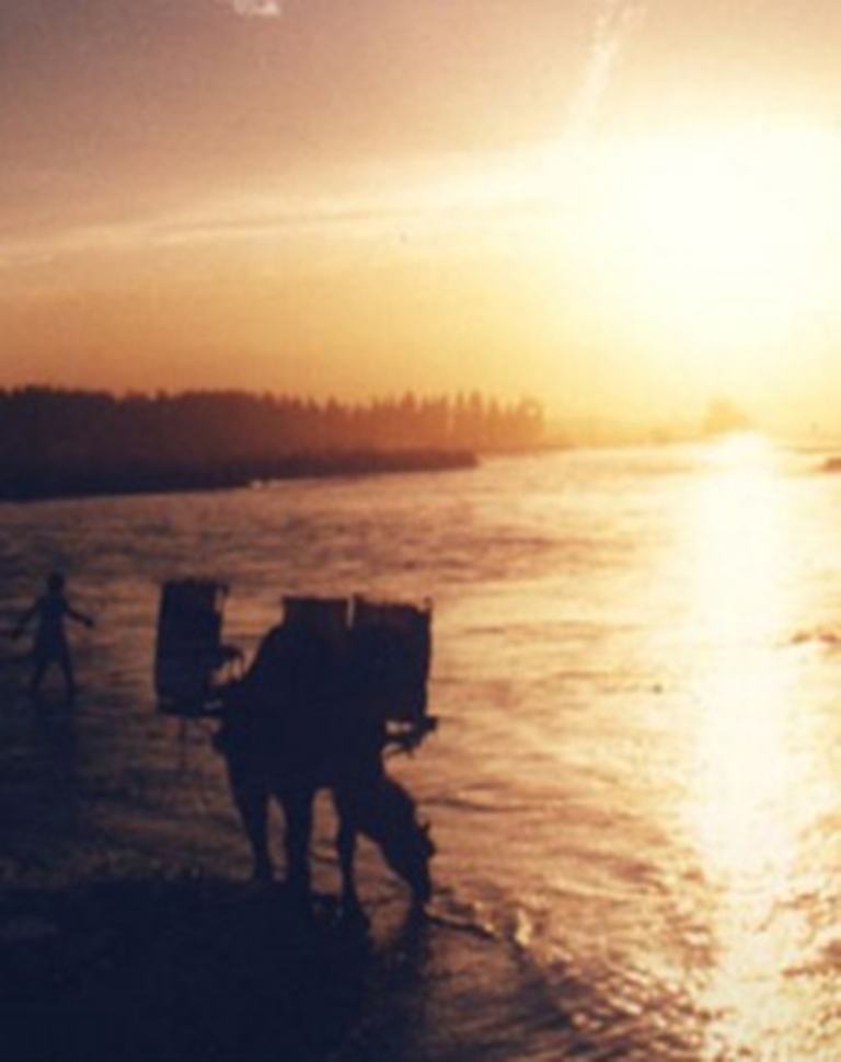 消失的古国：伊犁河畔