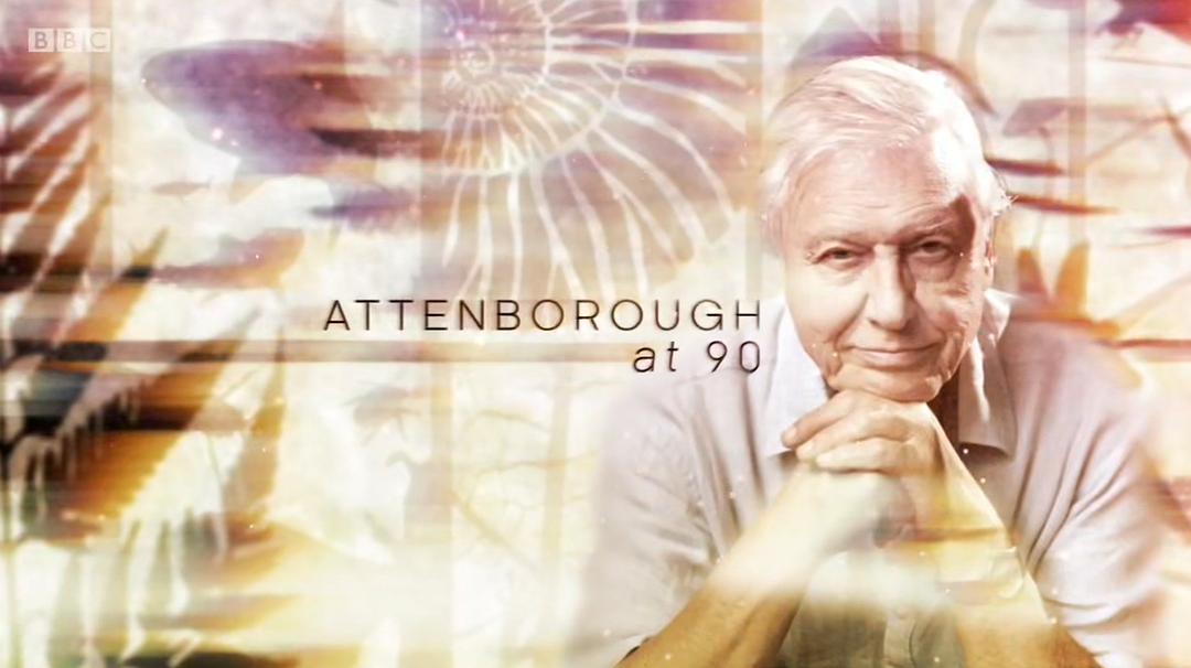 90岁的爱登堡 &#8211; 镜头背后 Attenborough at 90: Behind the Lens