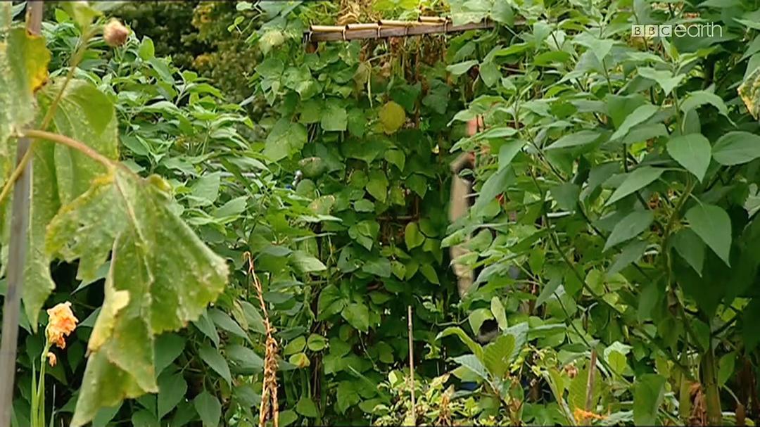 睡眠十律 10 Things You Need to Know About Sleep