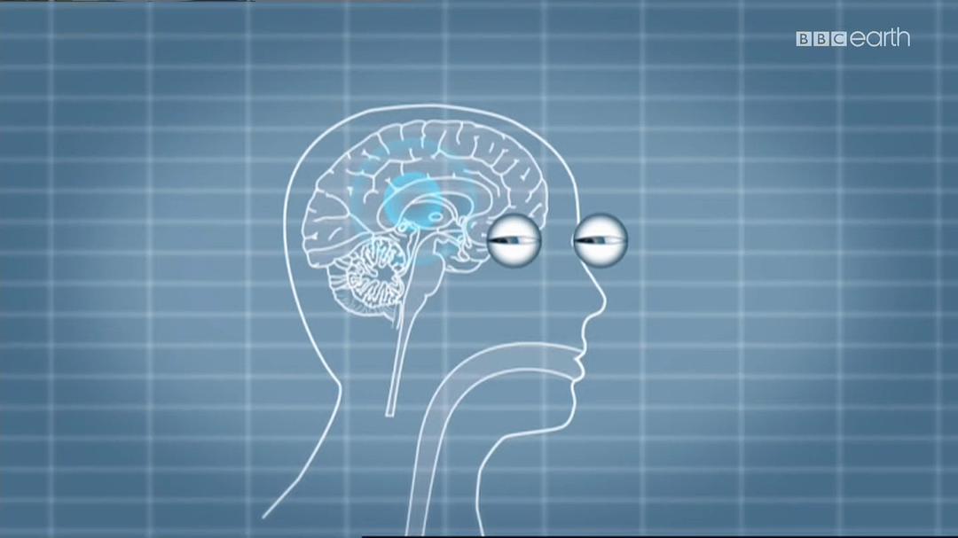 睡眠十律 10 Things You Need to Know About Sleep