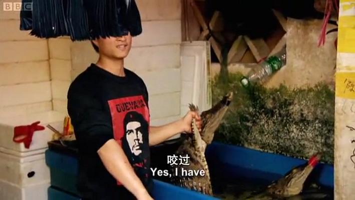 发现中国：美食之旅 Exploring China: A Culinary Adventure