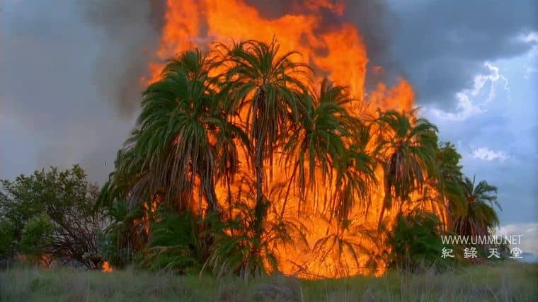 非洲的沙漠河 Africa’s Desert River