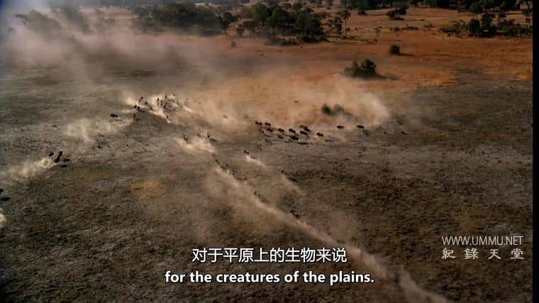 非洲的沙漠河 Africa’s Desert River